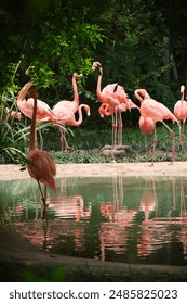 泥視頻倒閉：探究背后原因及对行业的影响分析