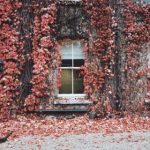 激萌导航自动跳转:提升用户体验的新科技 bzwvkddue8