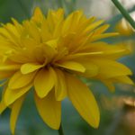 火影忍者全集免费观看,畅享忍者世界的精彩冒险 d30k8h9