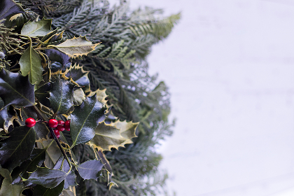 泥視頻无法观看的原因及解决方法解析