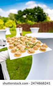 畅享高清视界：免费电影网站在线观看4K影片推荐