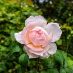 畅享高速网络体验:免费在线加速器推荐与使用指南 g3tlk0