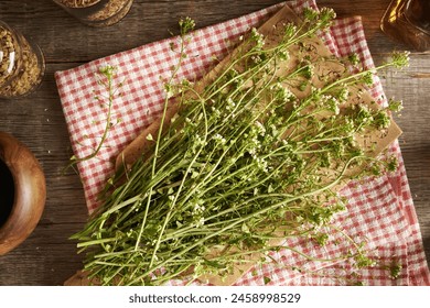 畅享飘花影院在线观看，体验无限精彩影视盛宴