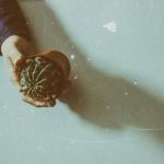 畅游在线动漫世界:探索无限创意与精彩故事 p8s5l4