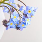 畅游我的女神同人本子在线阅读,尽享精彩故事 xkp8nuc