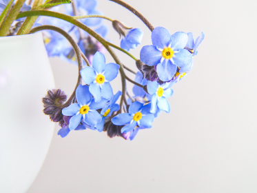 畅游我的女神同人本子在线阅读，尽享精彩故事